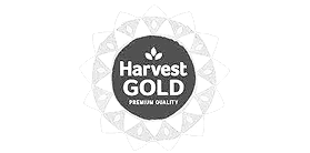 Harvest Gold